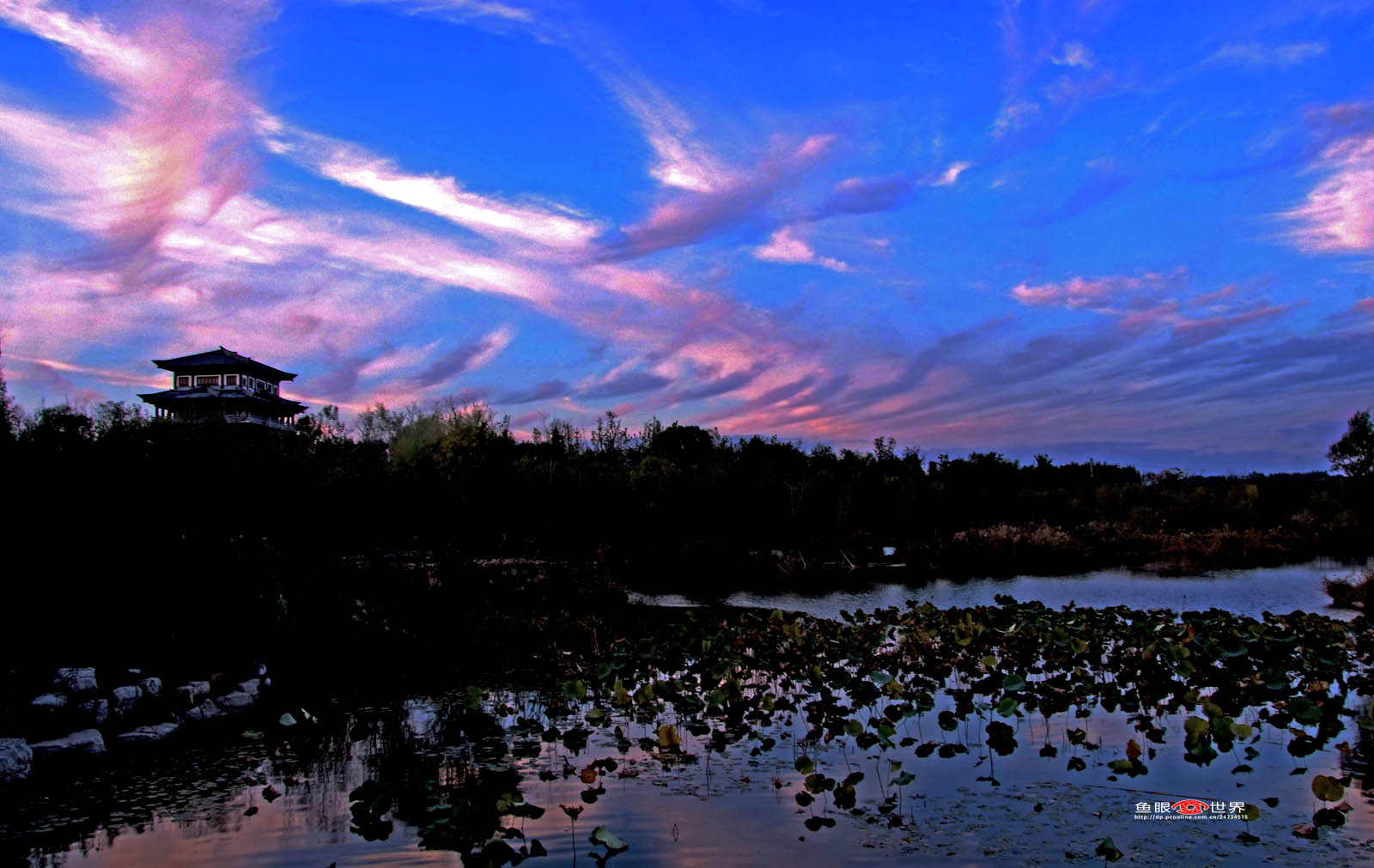 DSCF8712.JPG