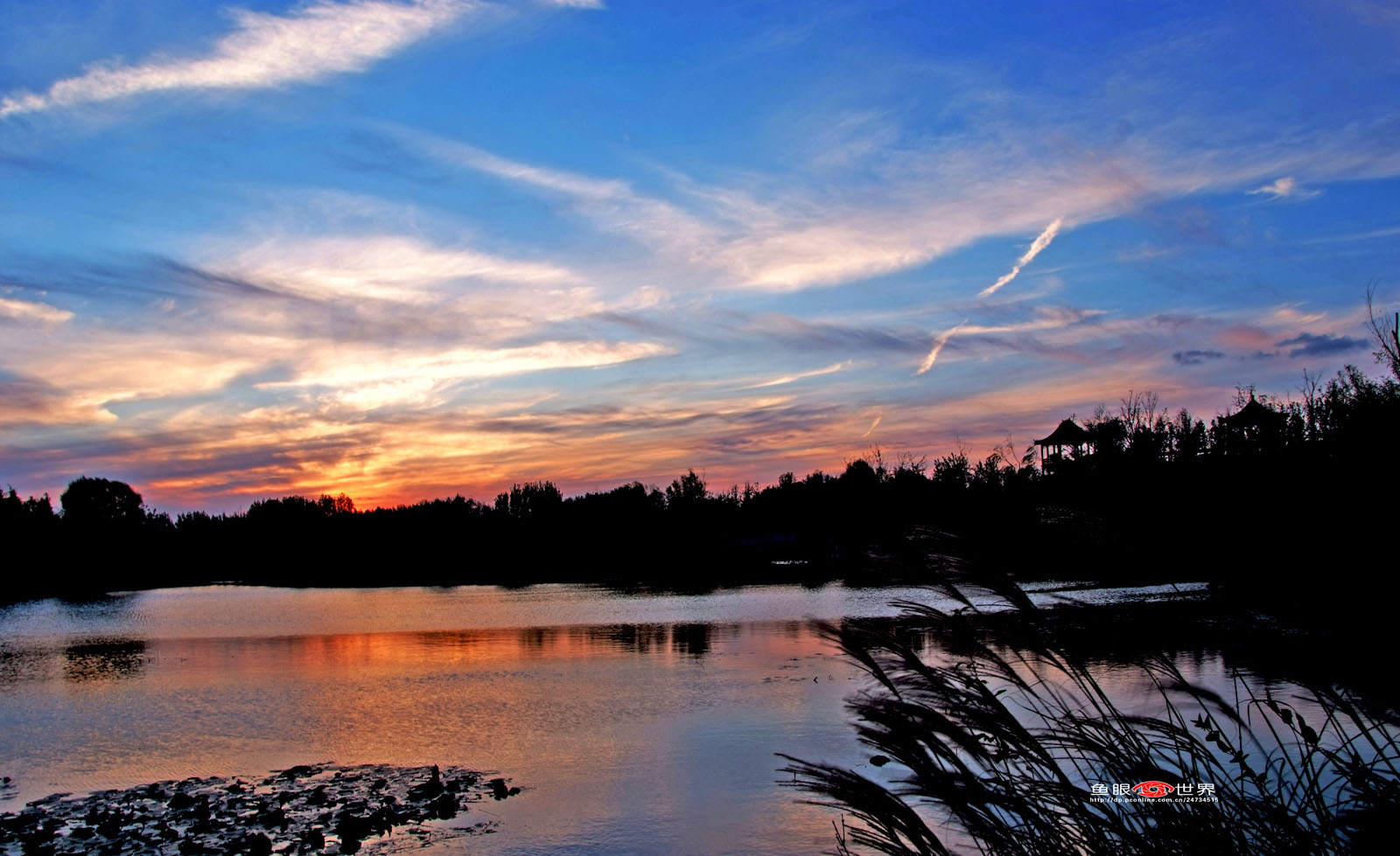 DSCF8714.JPG