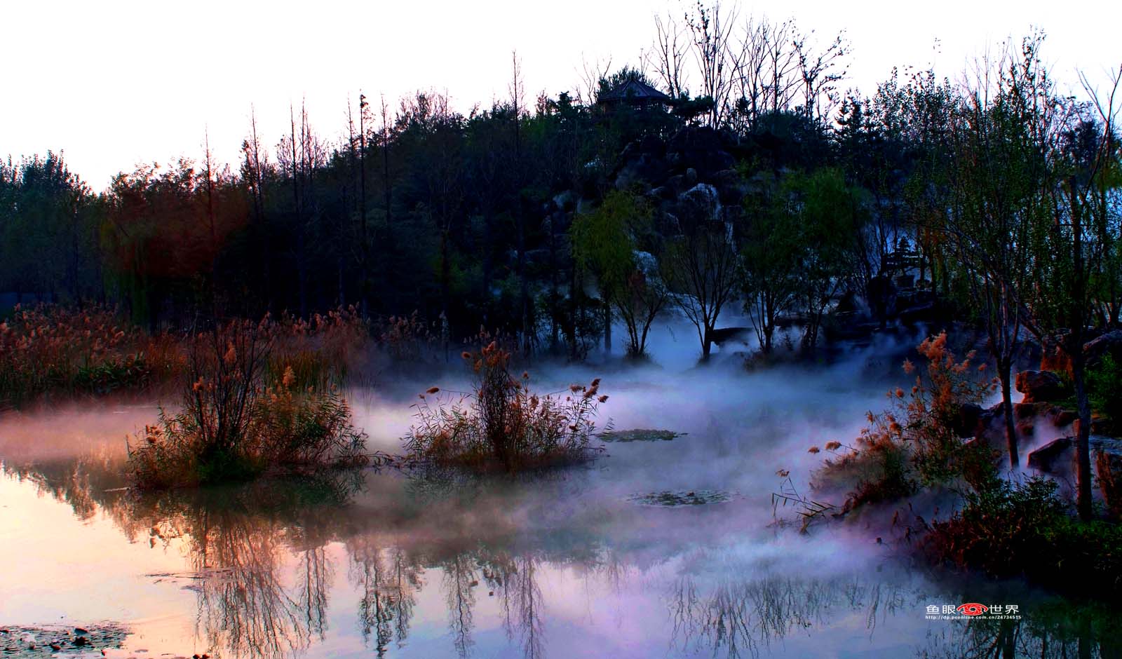 DSCF4045.JPG