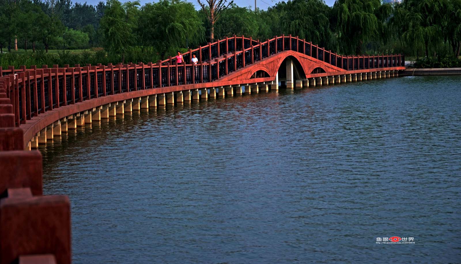 DSCF8254.JPG