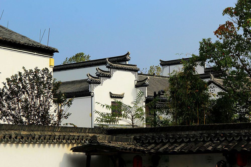 IMG_2757_副本_副本.jpg