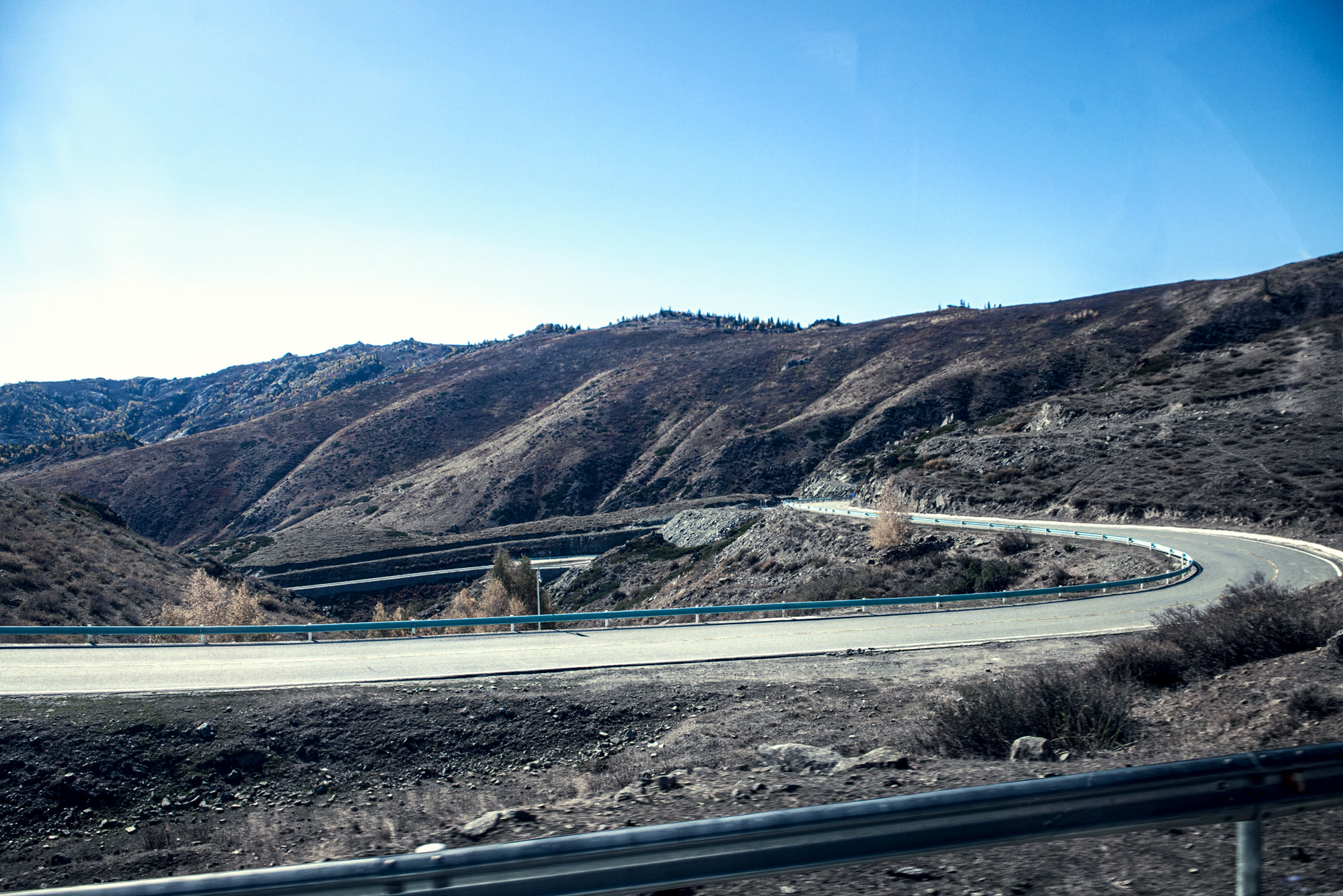 _DSC8009-1.jpg
