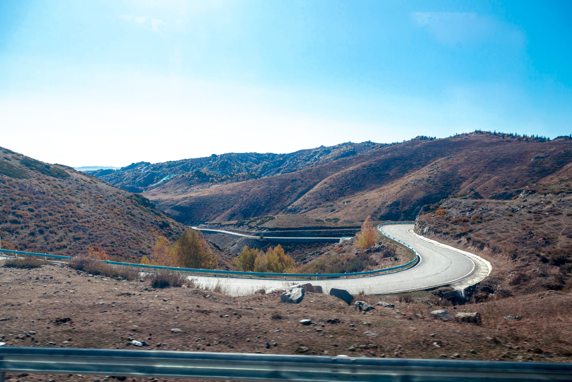 _DSC8010-1.jpg