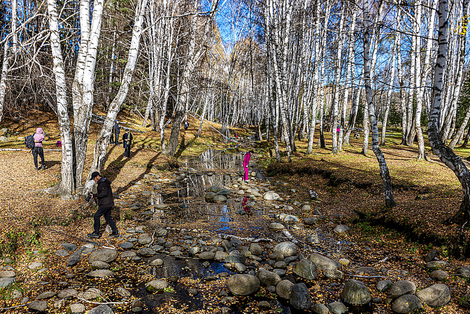 _DSC8230-1.jpg