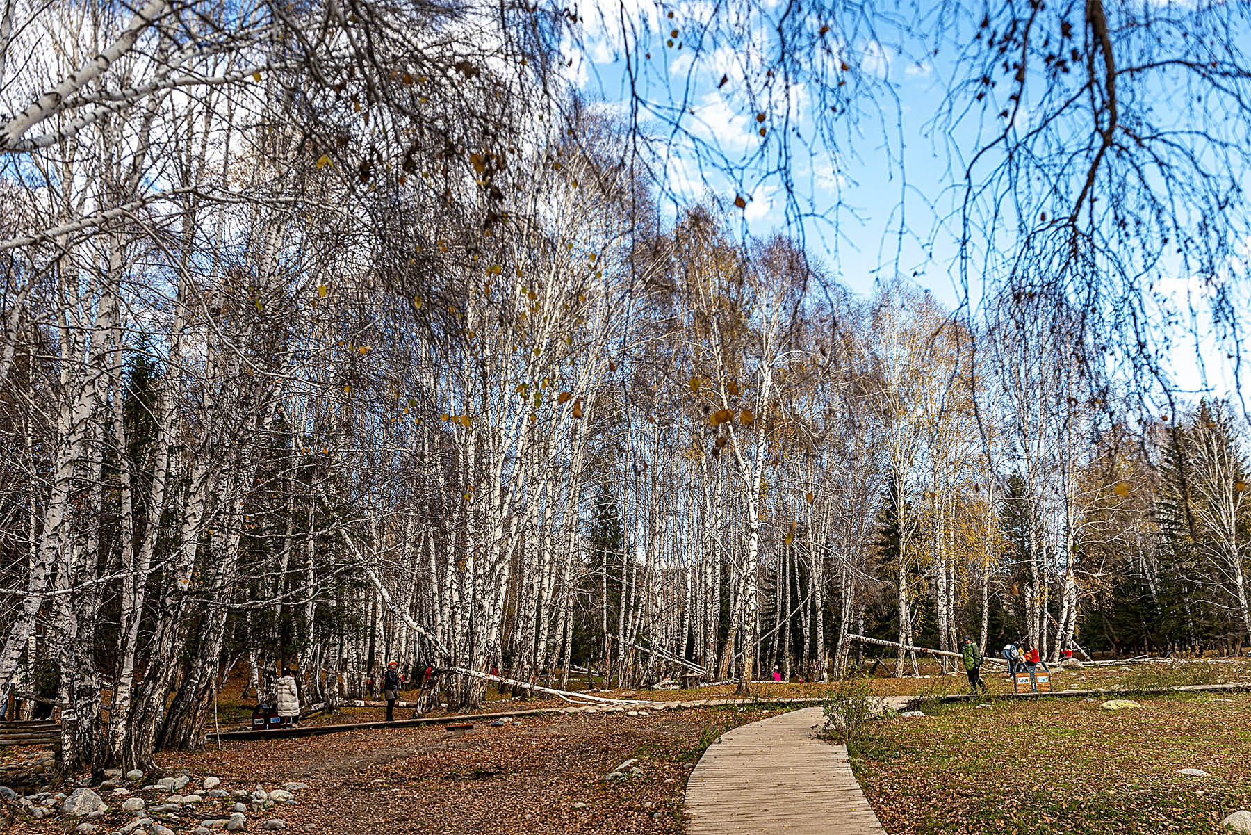 _DSC8276-1.jpg