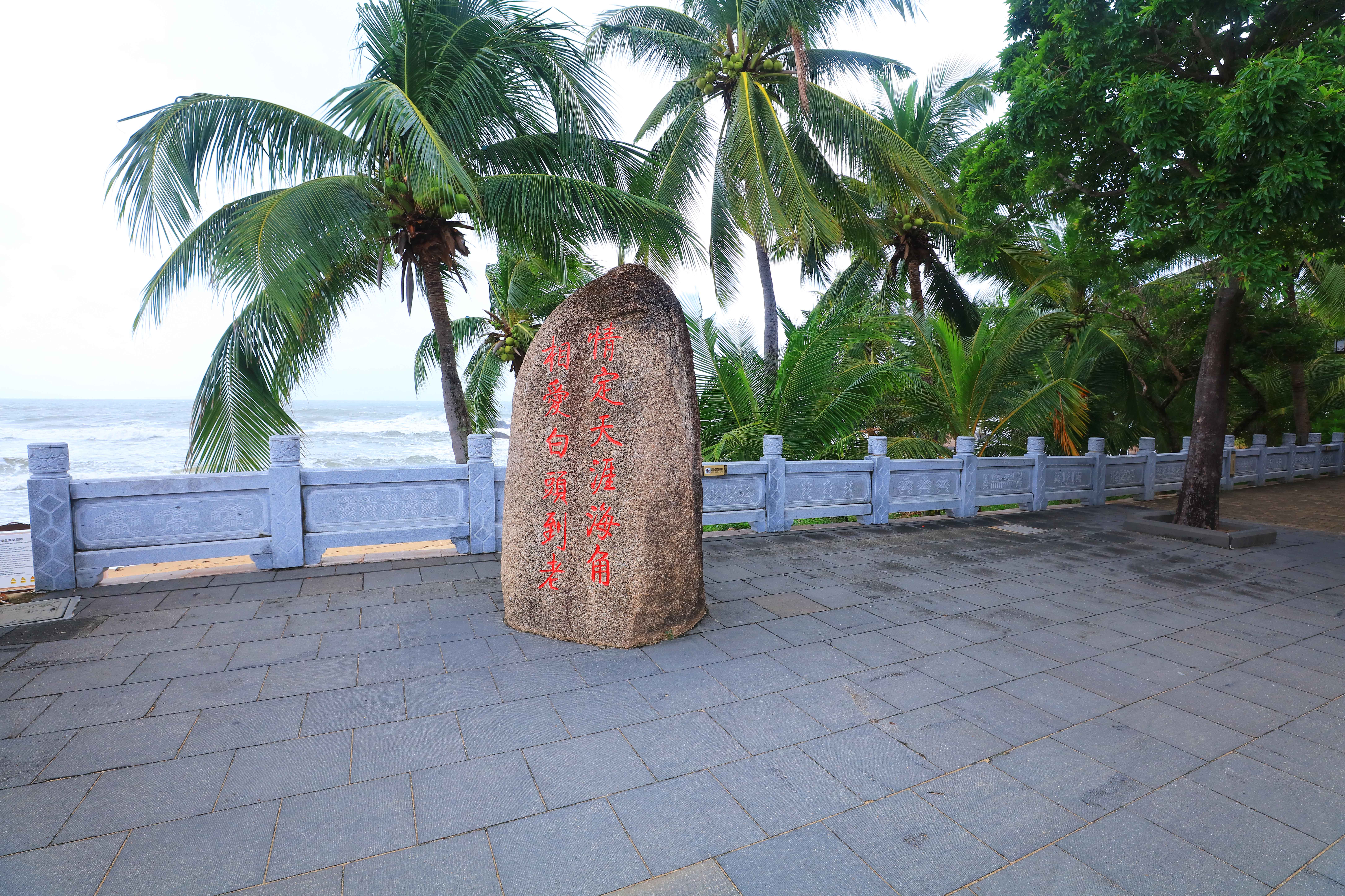 287A8298-.jpg