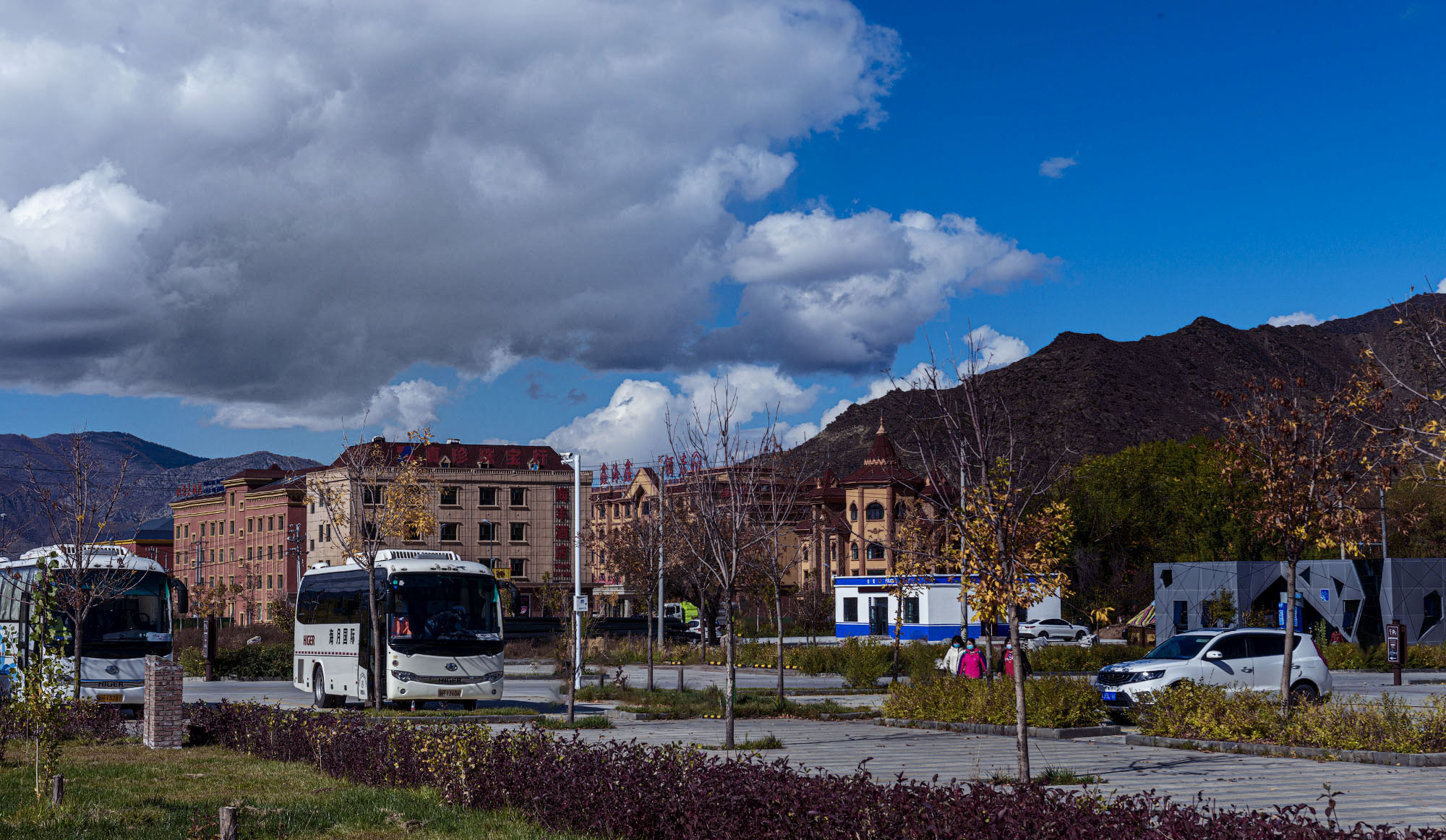 _DSC7768-1-2.jpg