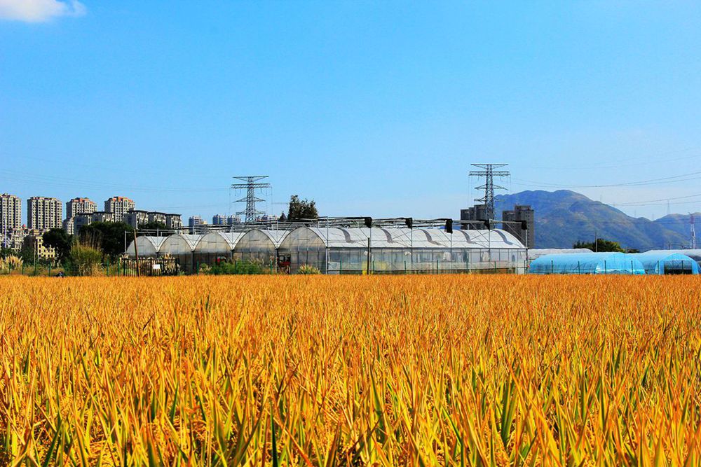 IMG_2556_副本_副本.jpg