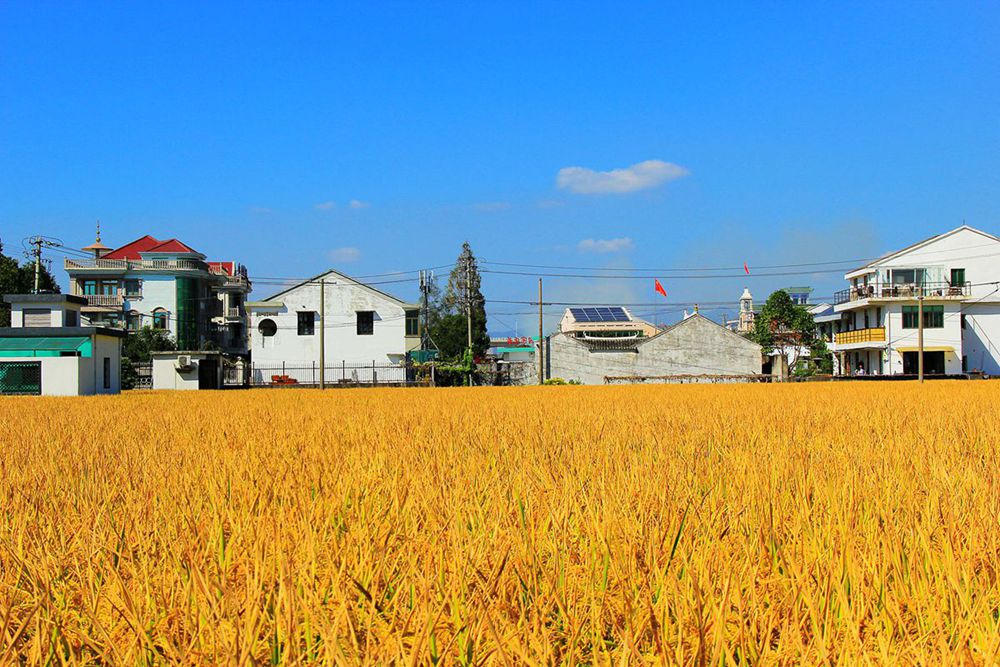 IMG_2567_副本_副本.jpg