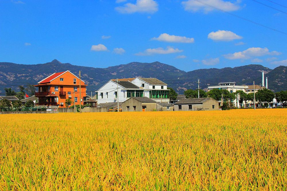 IMG_2573_副本_副本.jpg