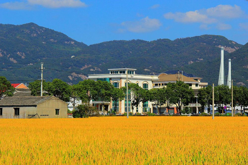 IMG_2571_副本_副本.jpg