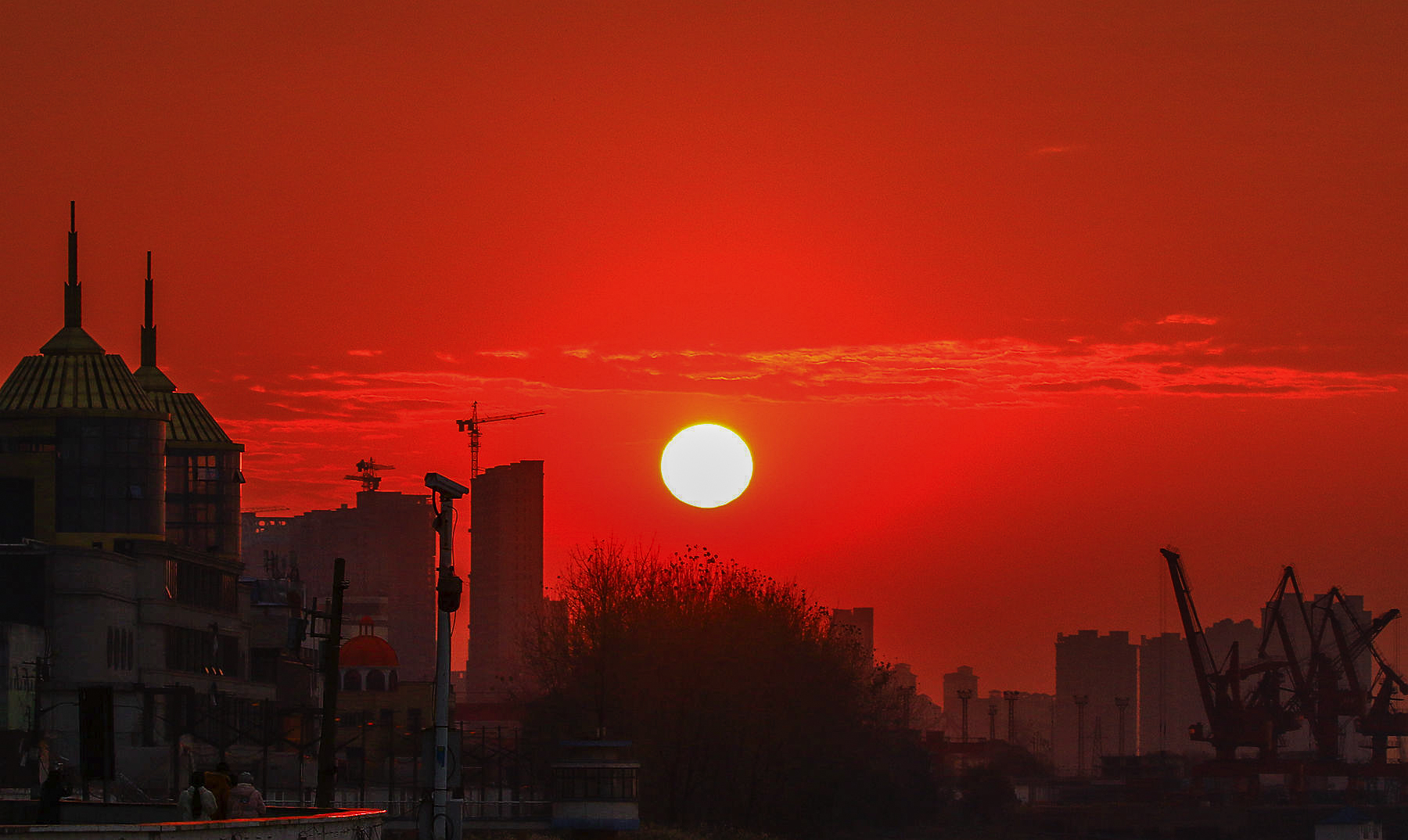 587A1143_1.jpg