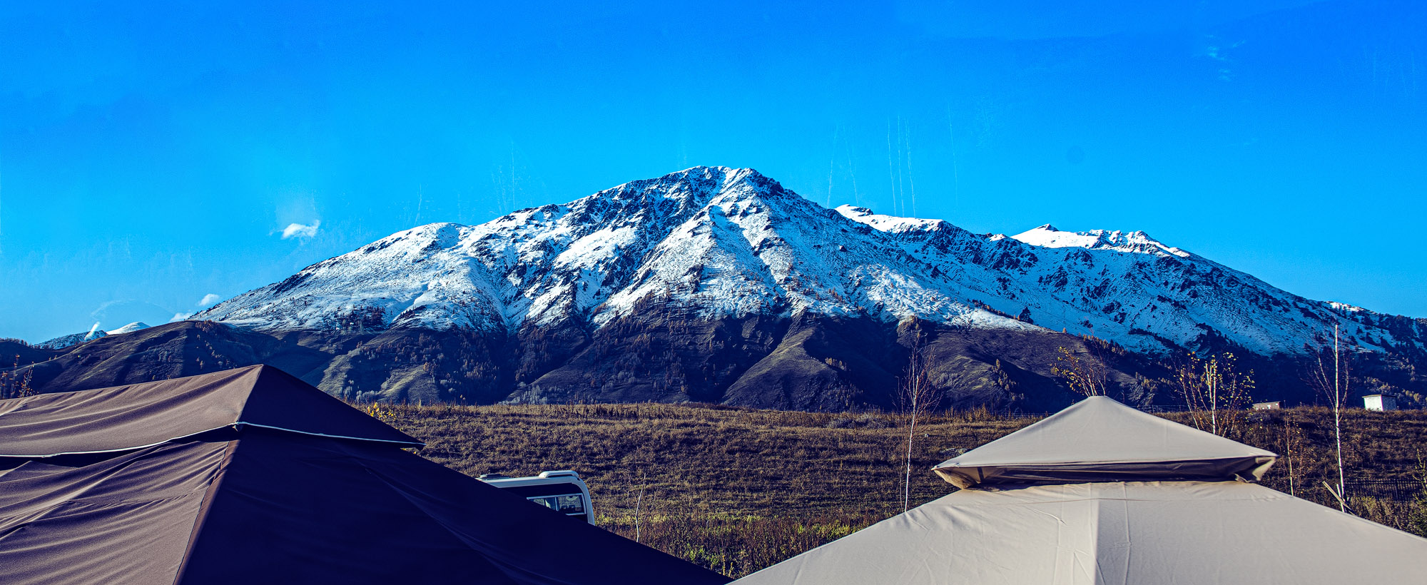_DSC8294-1.jpg