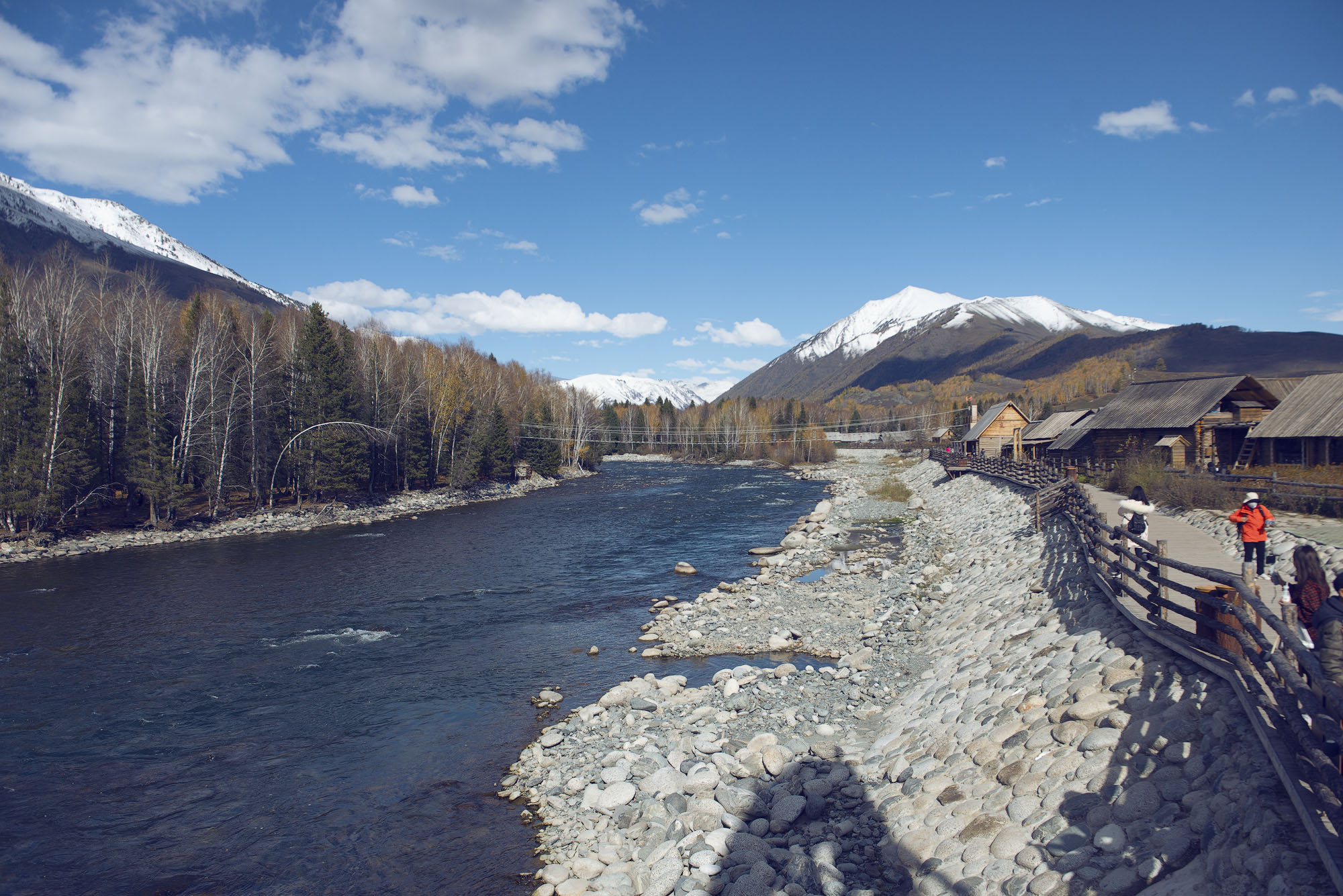 _DSC8203-1.jpg