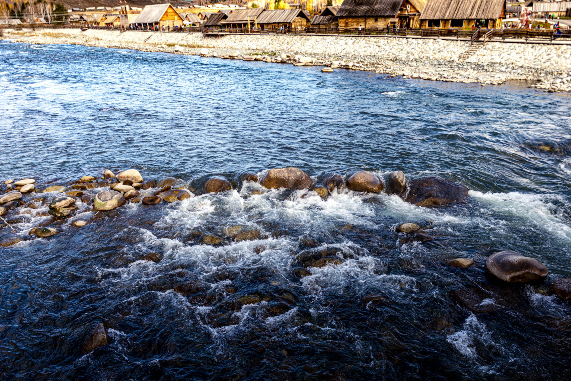 _DSC8285-1.jpg