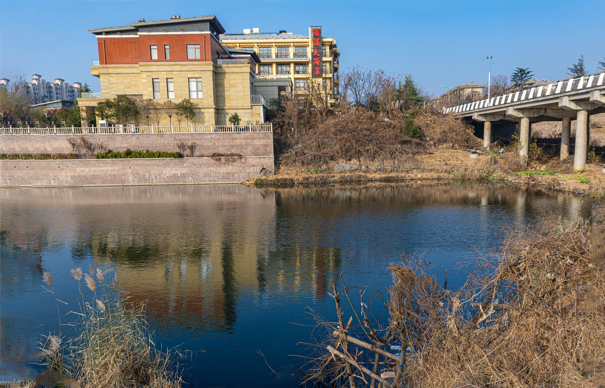 _DSC0420-1.jpg
