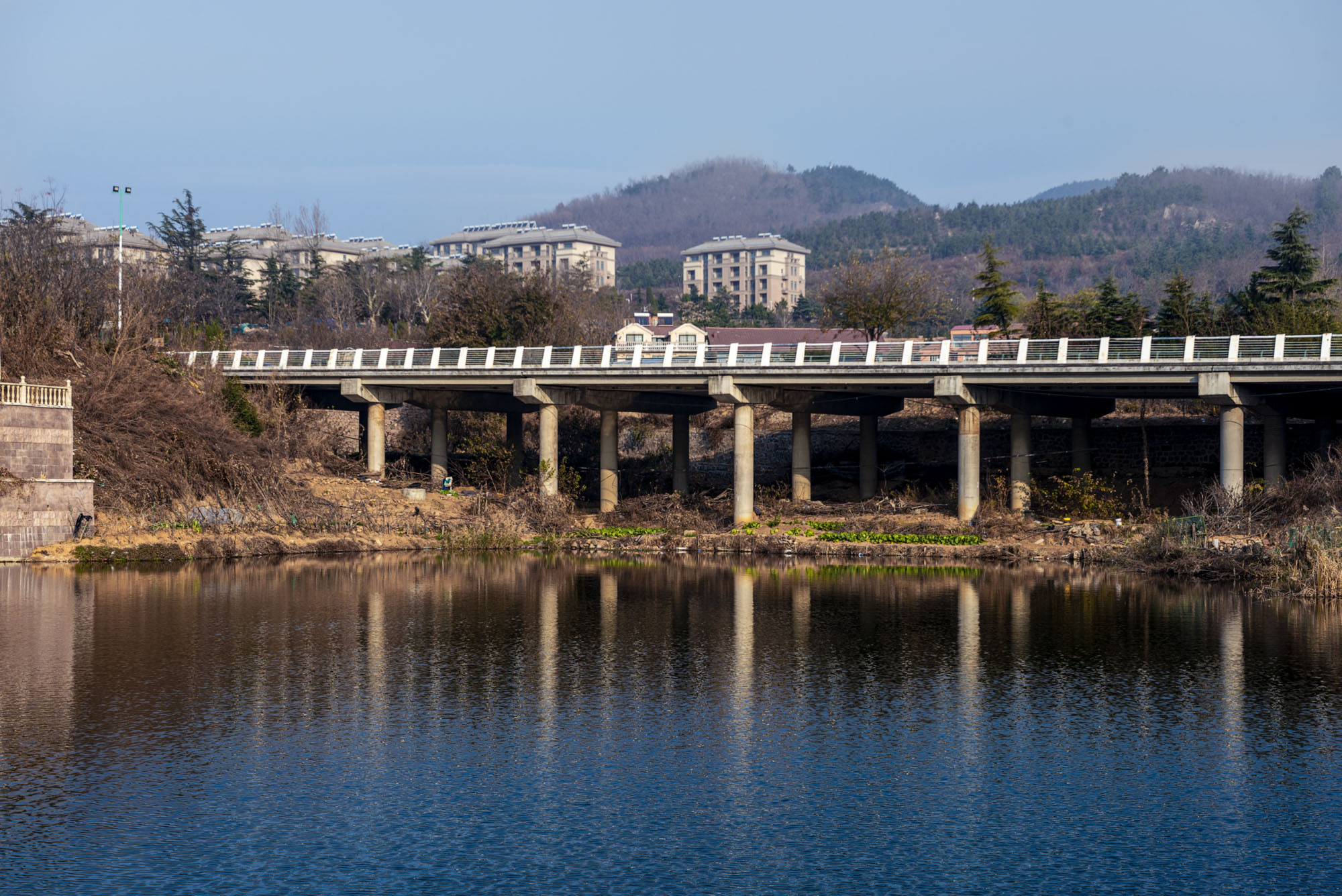 _DSC0428-1.jpg