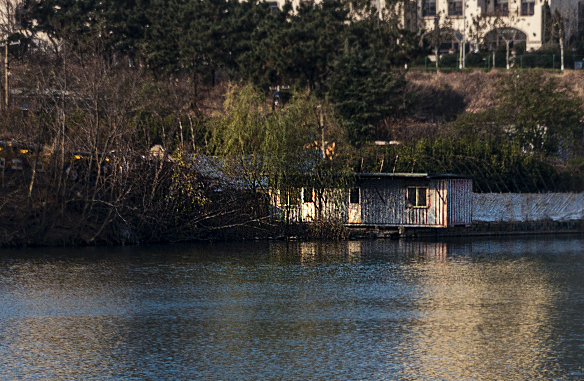 _DSC0434-1.jpg