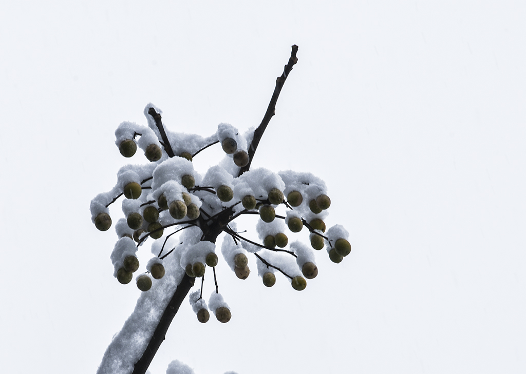 DSC_8815－２.jpg