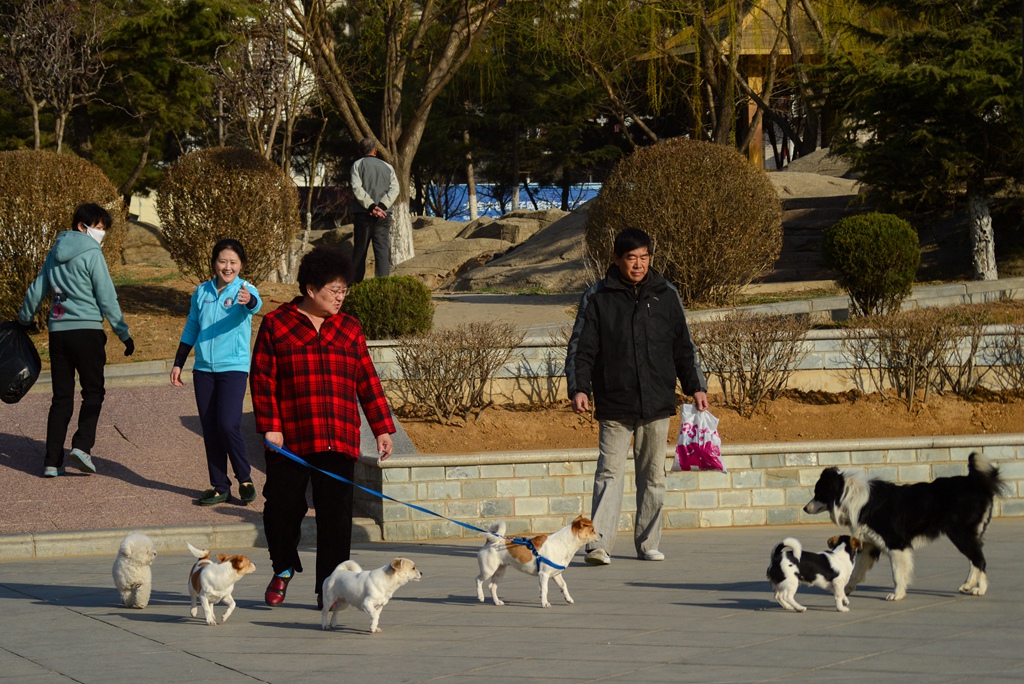 DSC_0998-副本.jpg