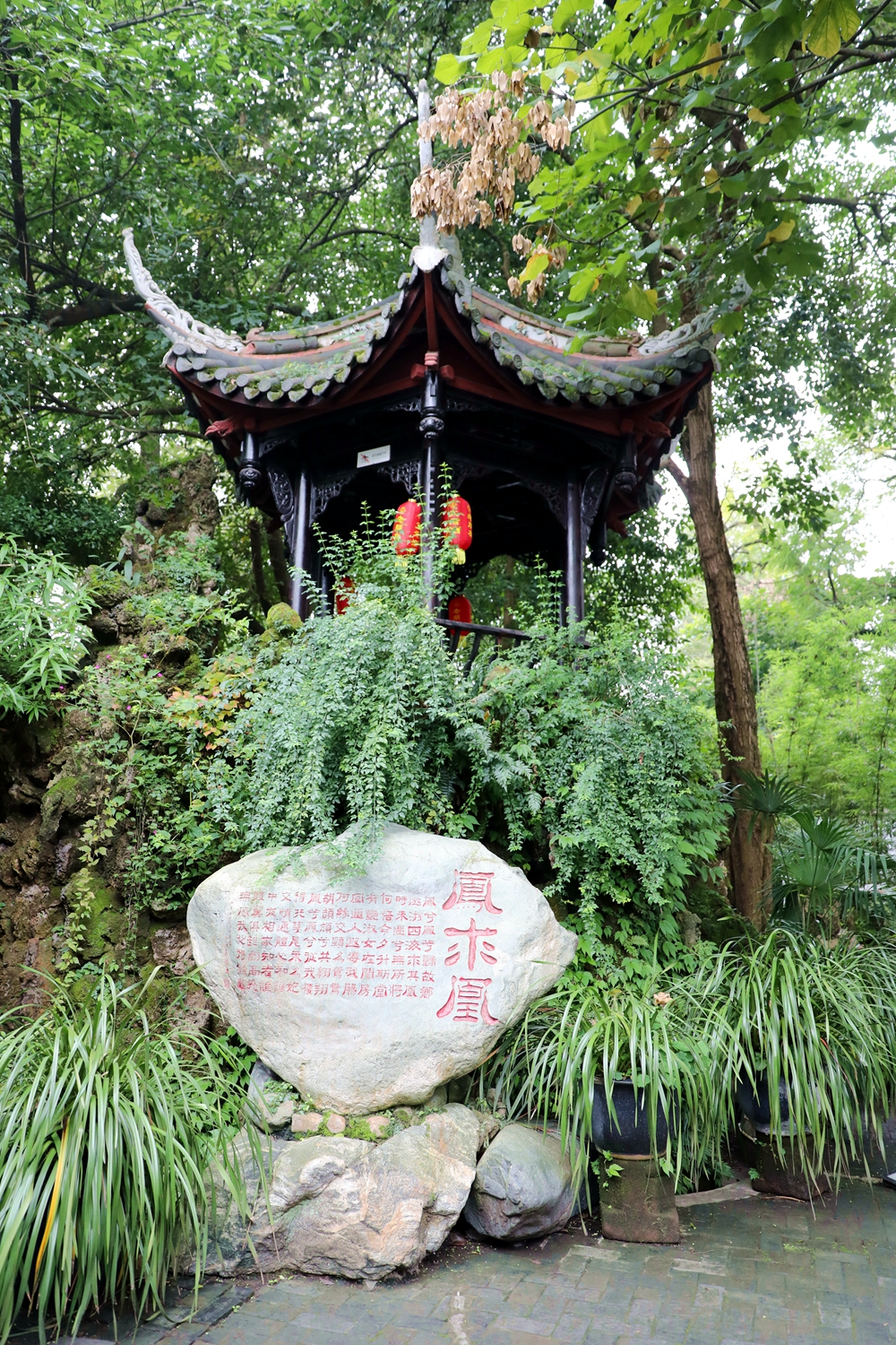 IMGL1206_副本.jpg