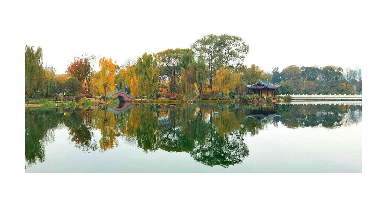 IMG_20201210_085309_副本.jpg