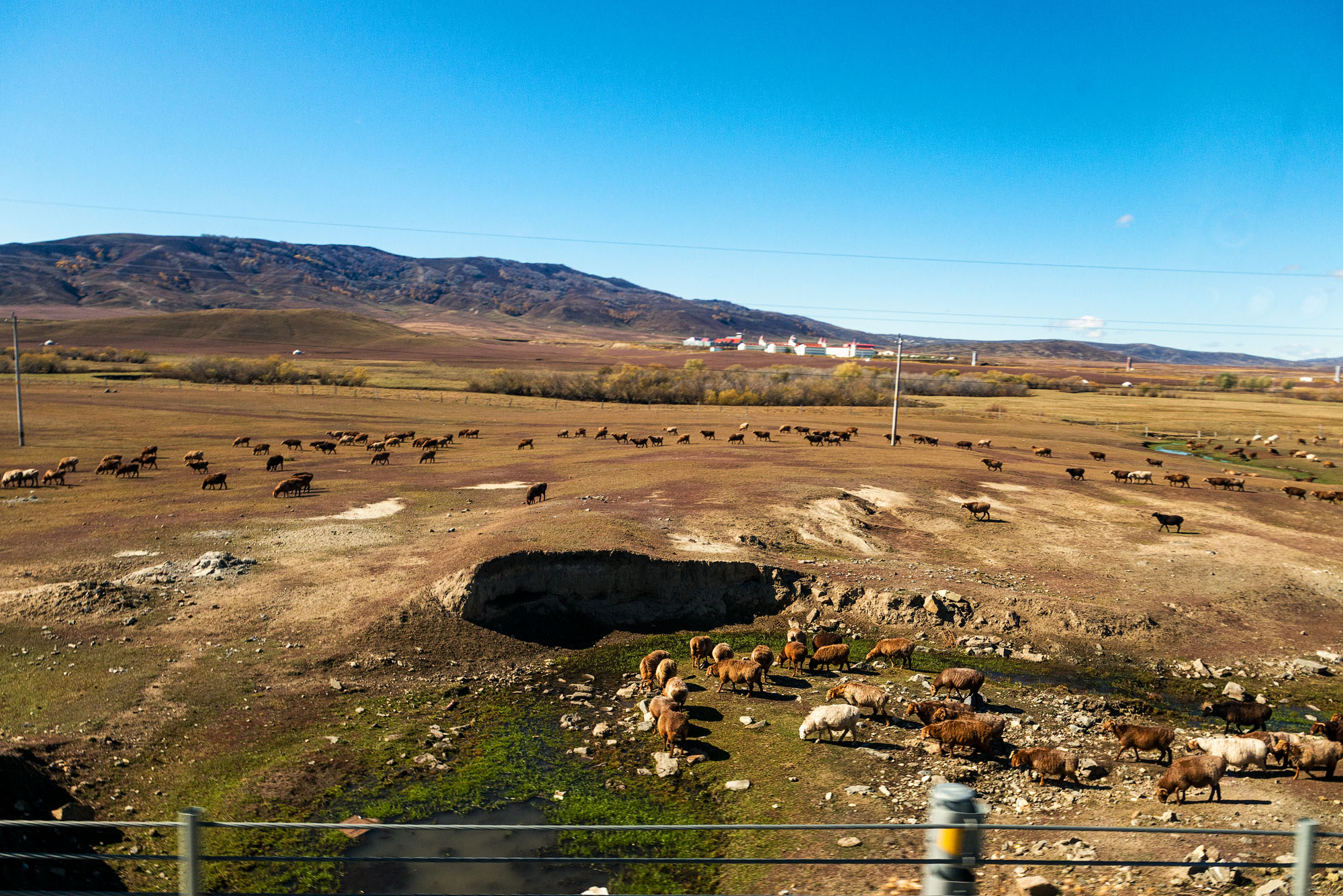 _DSC8031-1.jpg