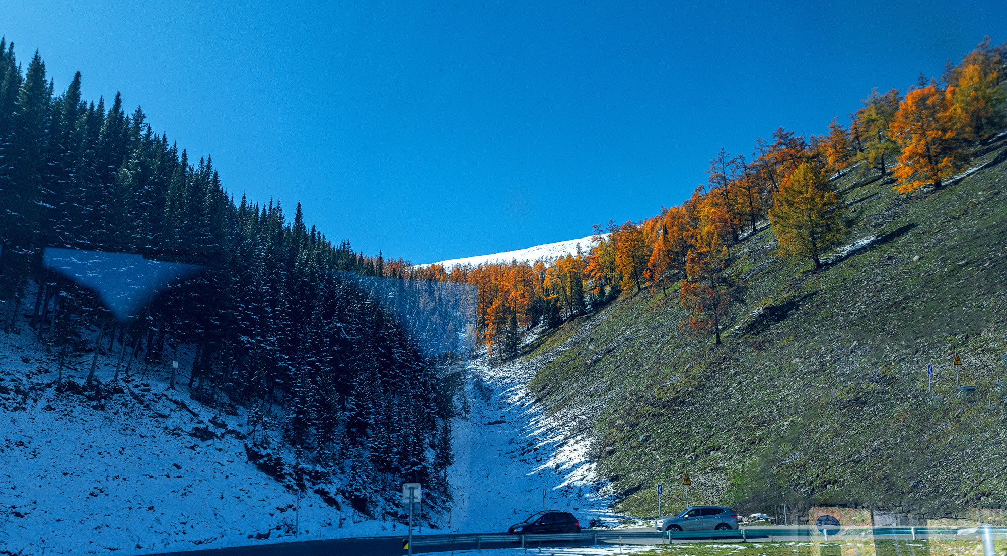 _DSC8051-1.jpg