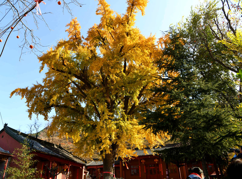 1DSC_6352_副本.jpg
