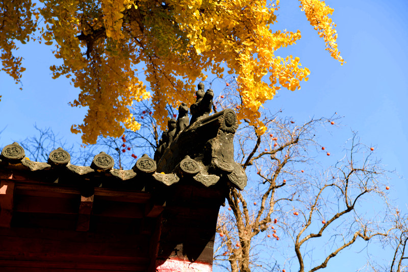 1DSC_6370_副本.jpg