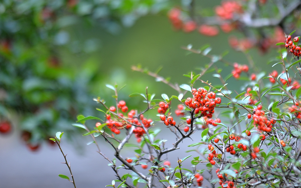 DSC_7776_副本.jpg