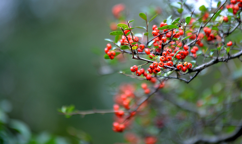 DSC_7777_副本.jpg