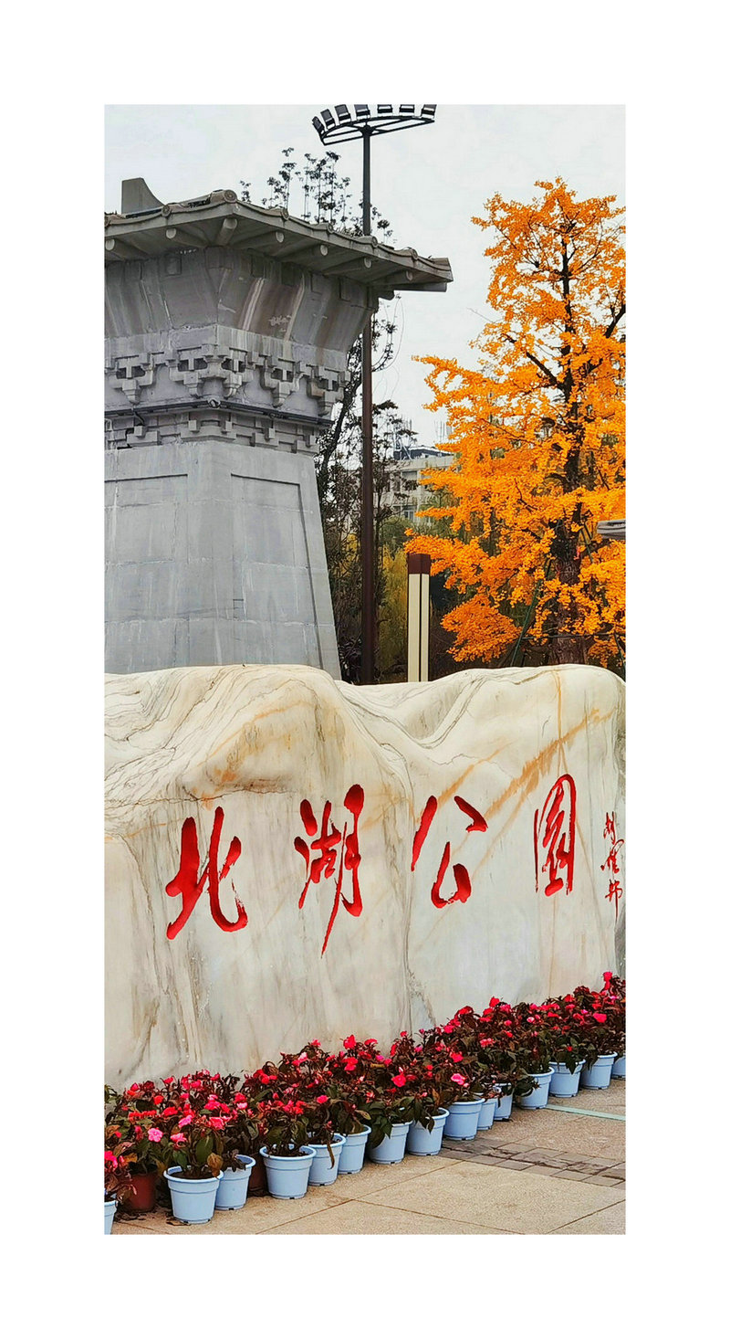IMG_20201210_091843-01_副本.jpg