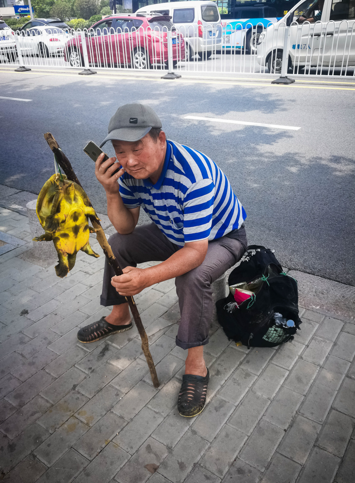 IMG_20190715_120907.jpg