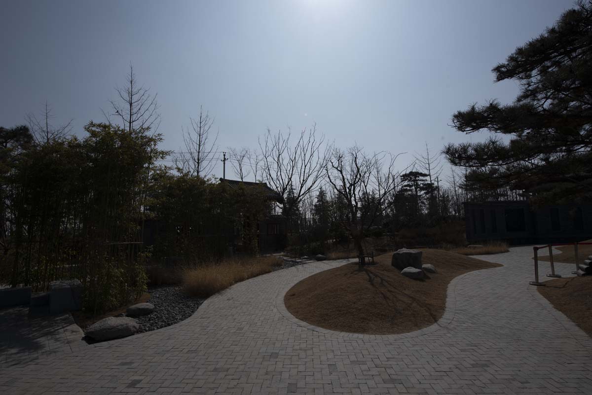 RAW_9126.jpg