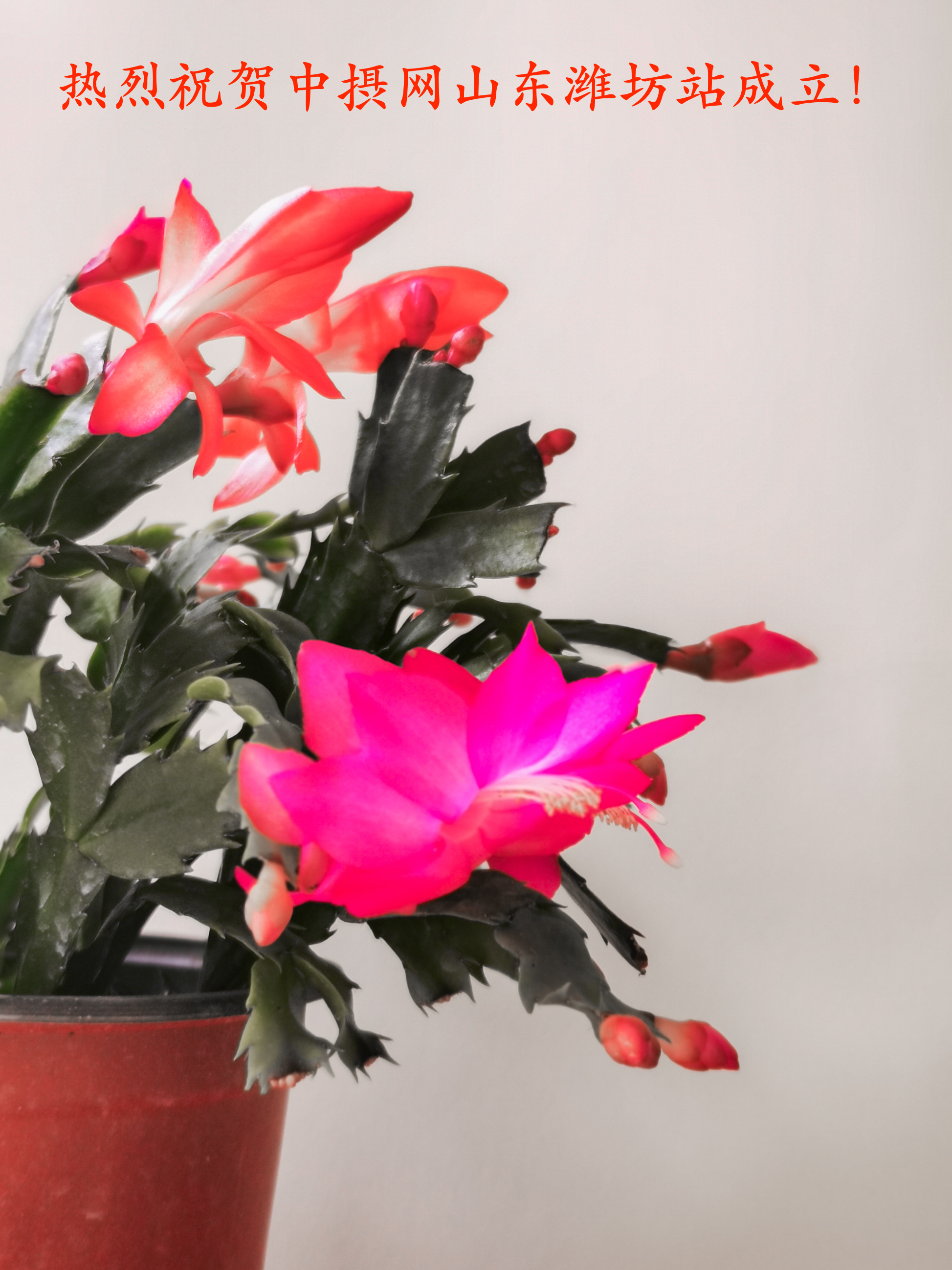 IMG_20201207_113229的副本.jpg