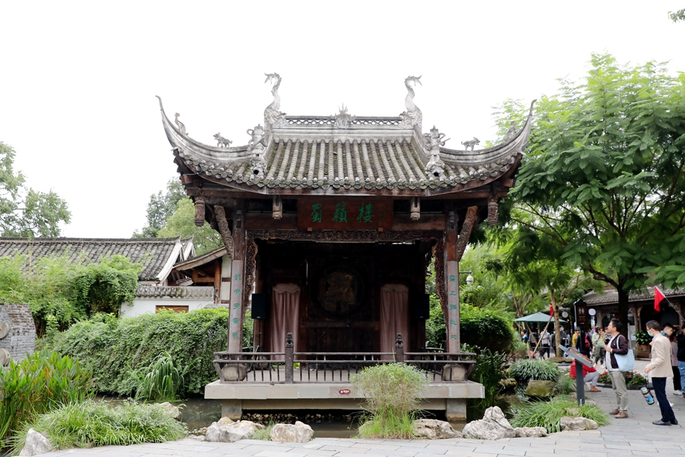 IMGL3578_副本.jpg