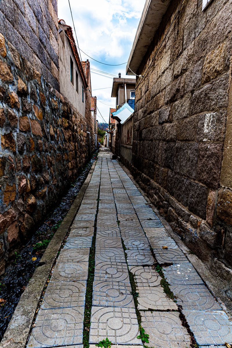8E6A6745_副本.jpg