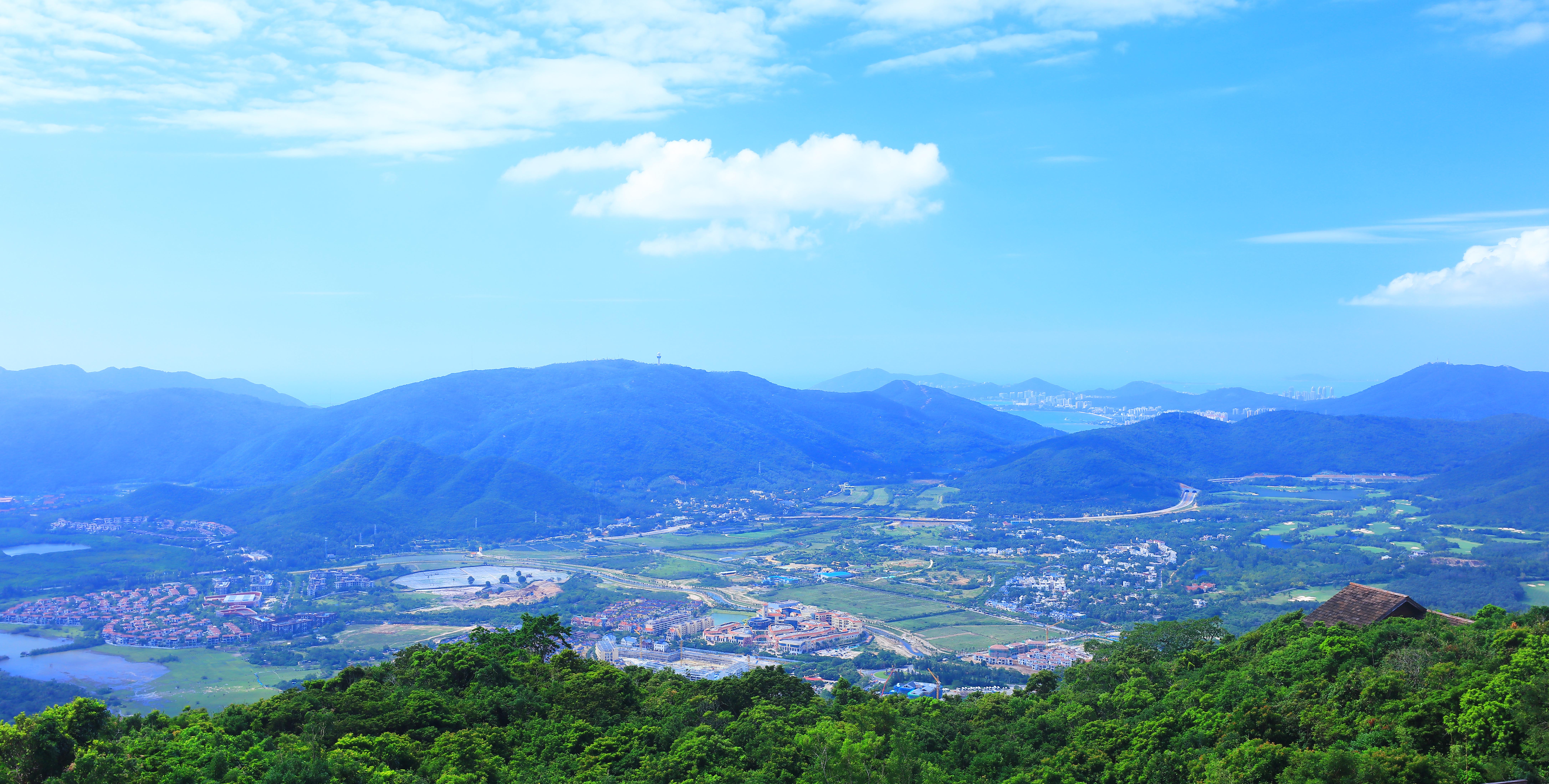 287A8584-1.jpg