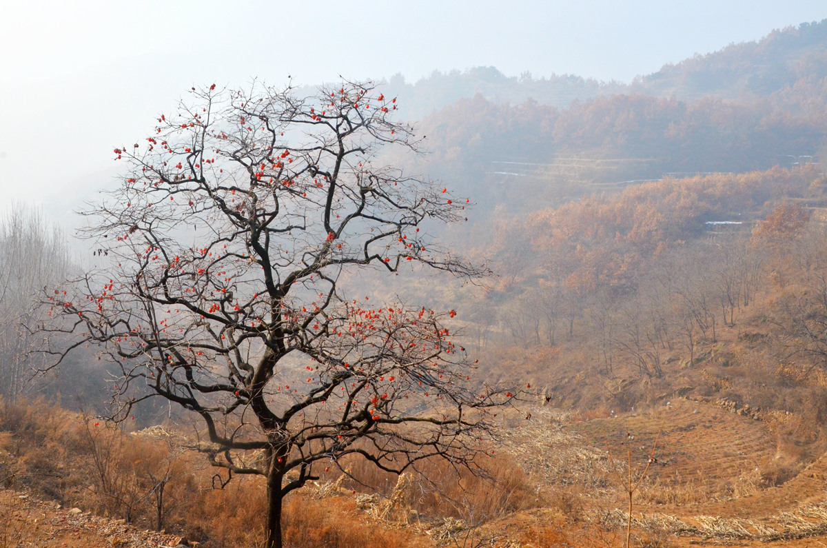 DSC_0046_副本.jpg