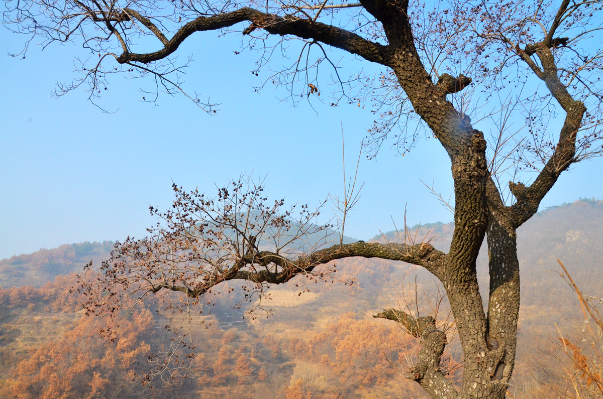 DSC_0056_副本.jpg