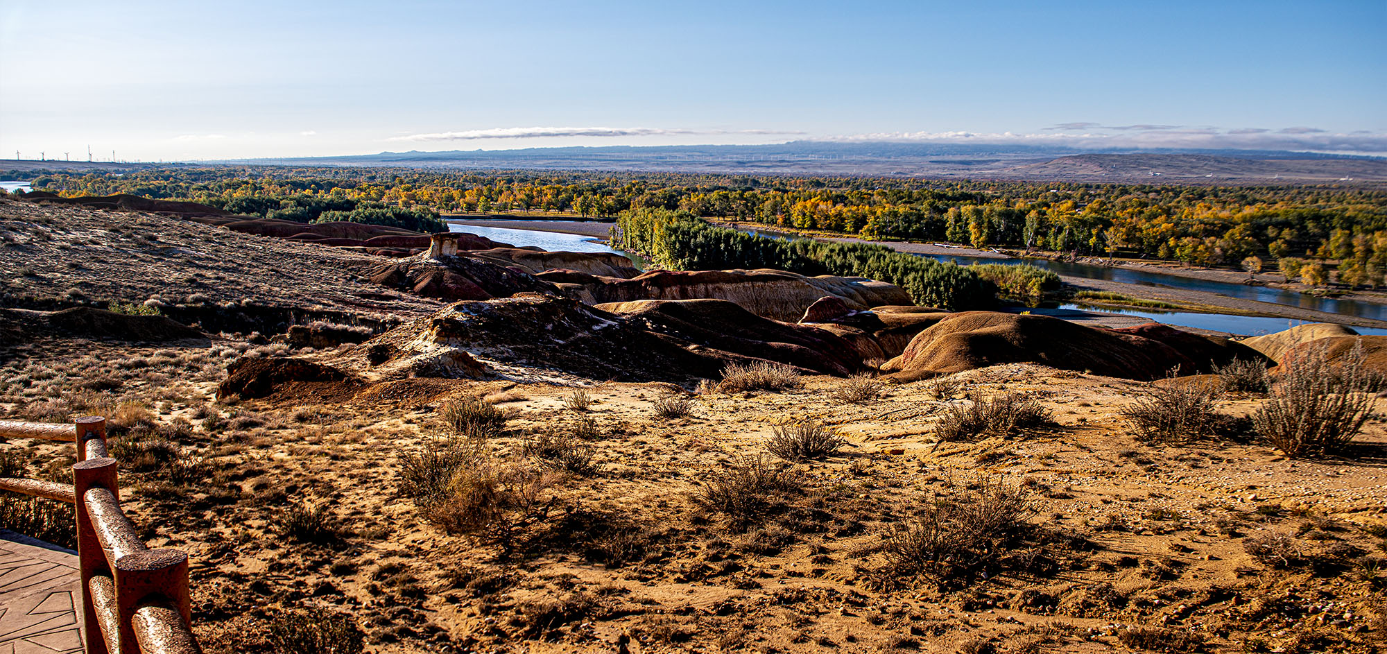 _DSC7883-1.jpg