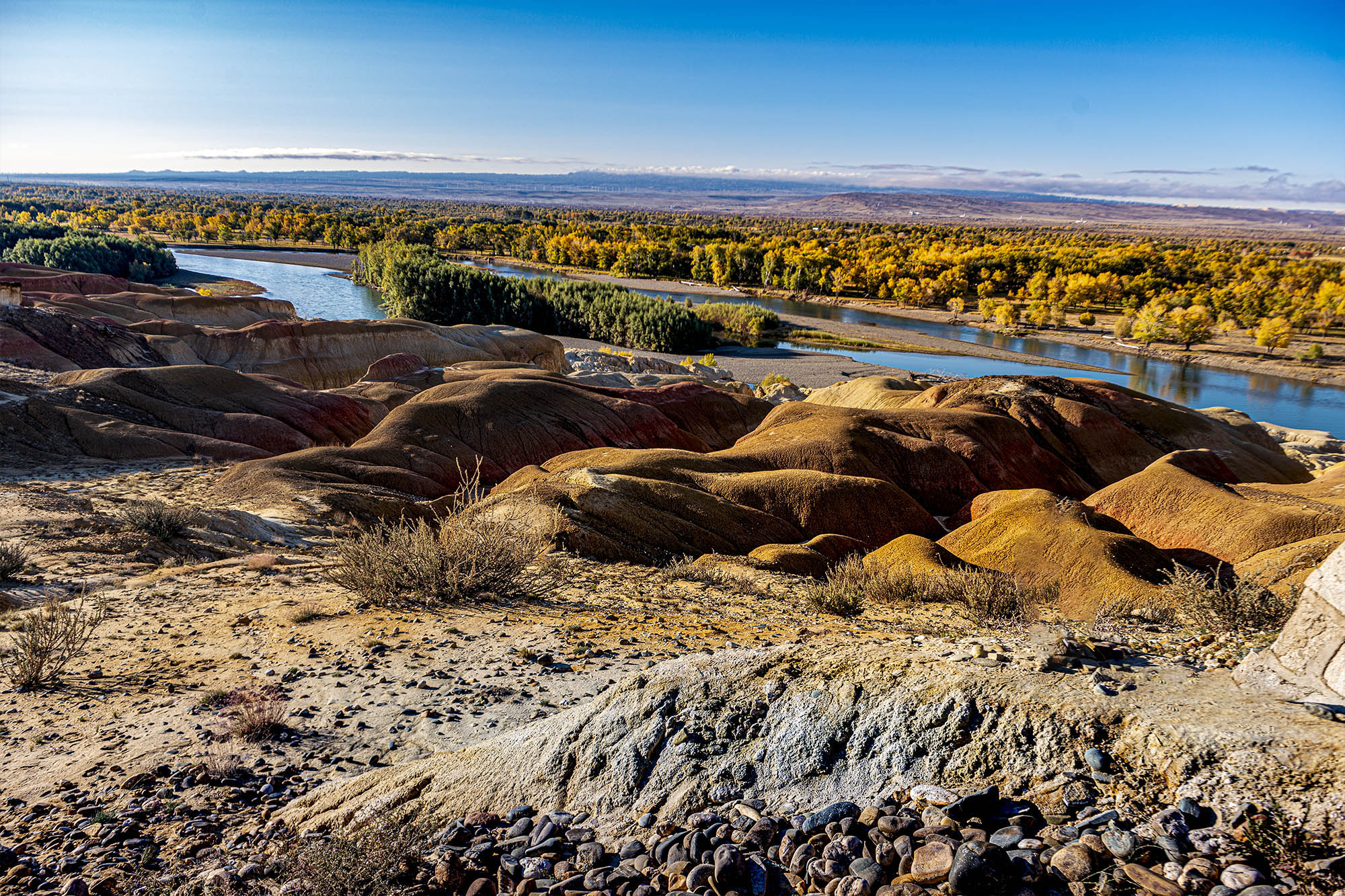 _DSC7885-1.jpg
