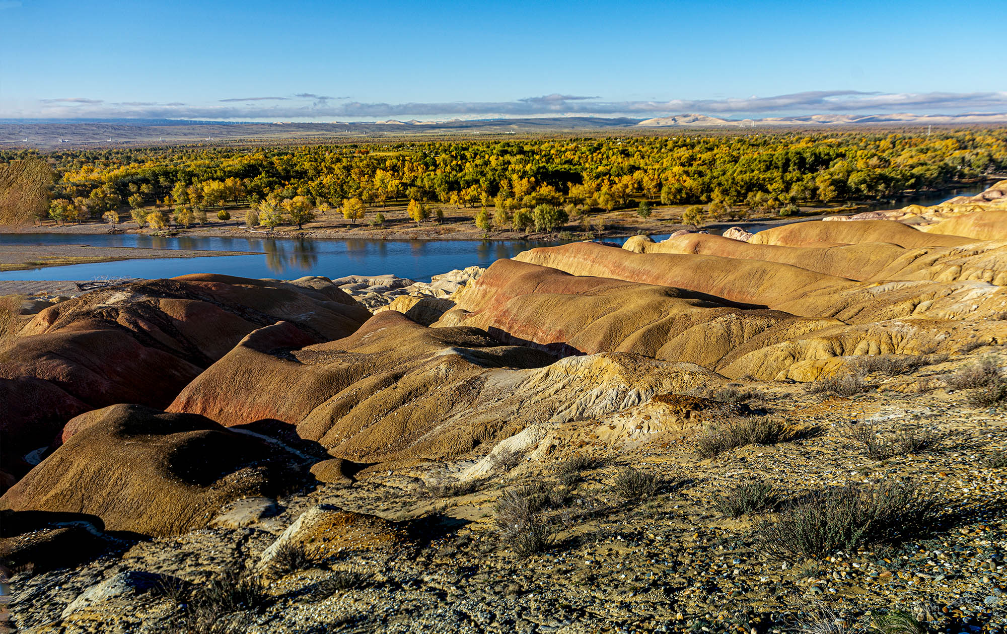 _DSC7887-1.jpg