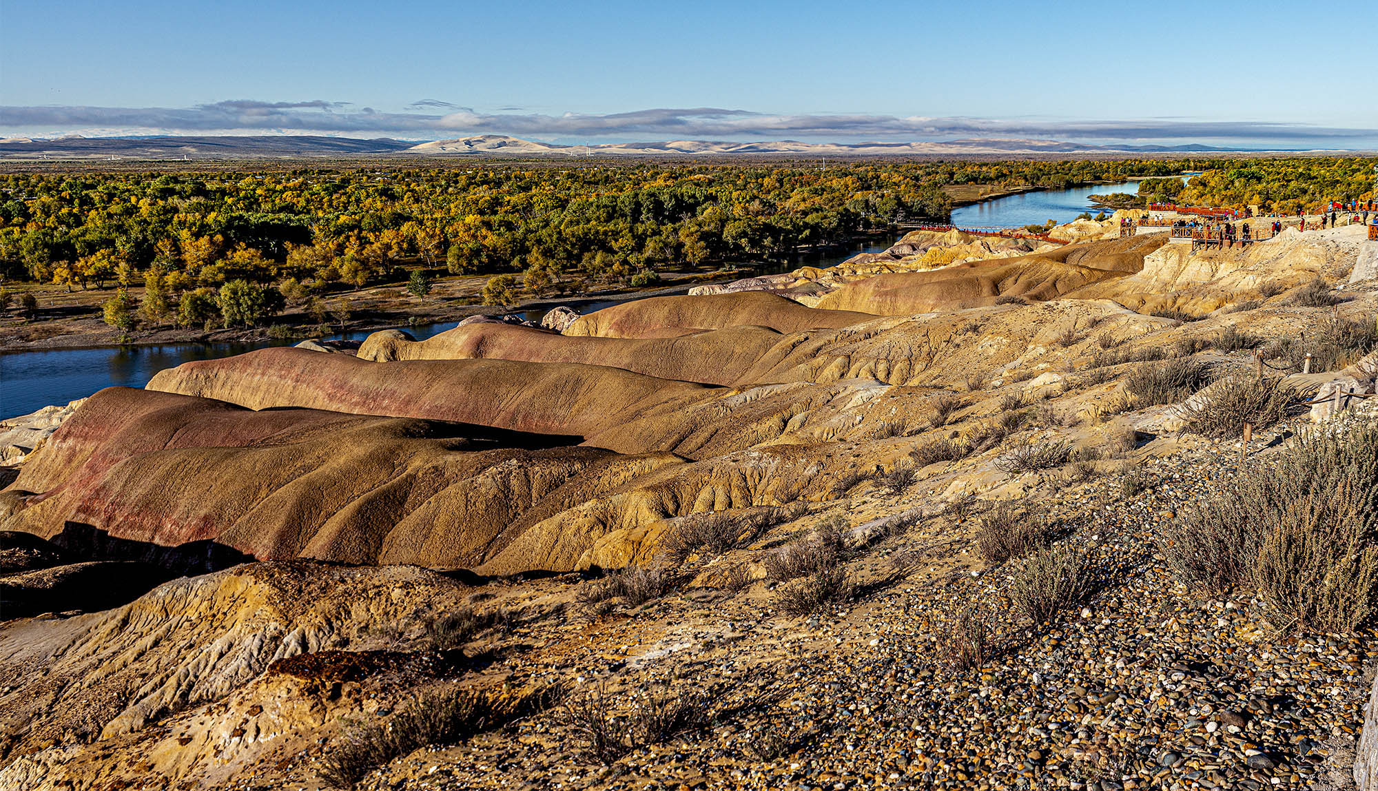 _DSC7888-1.jpg