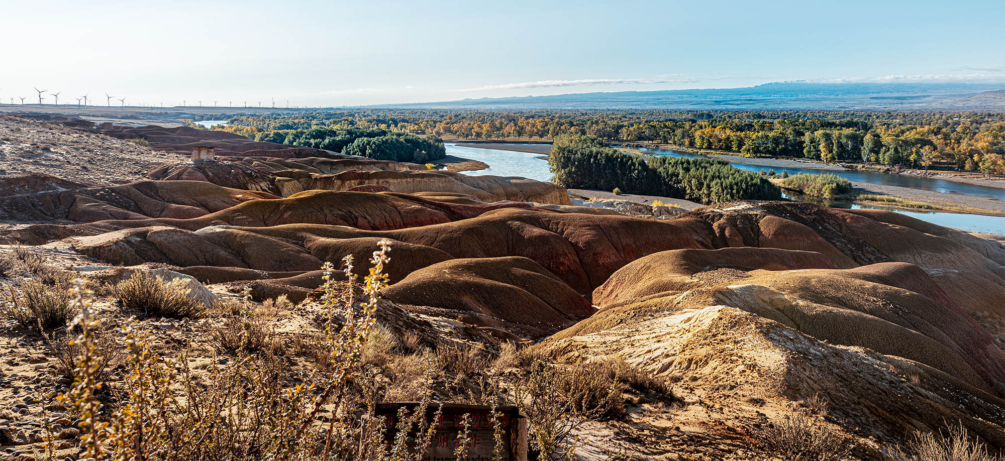 _DSC7892-1.jpg