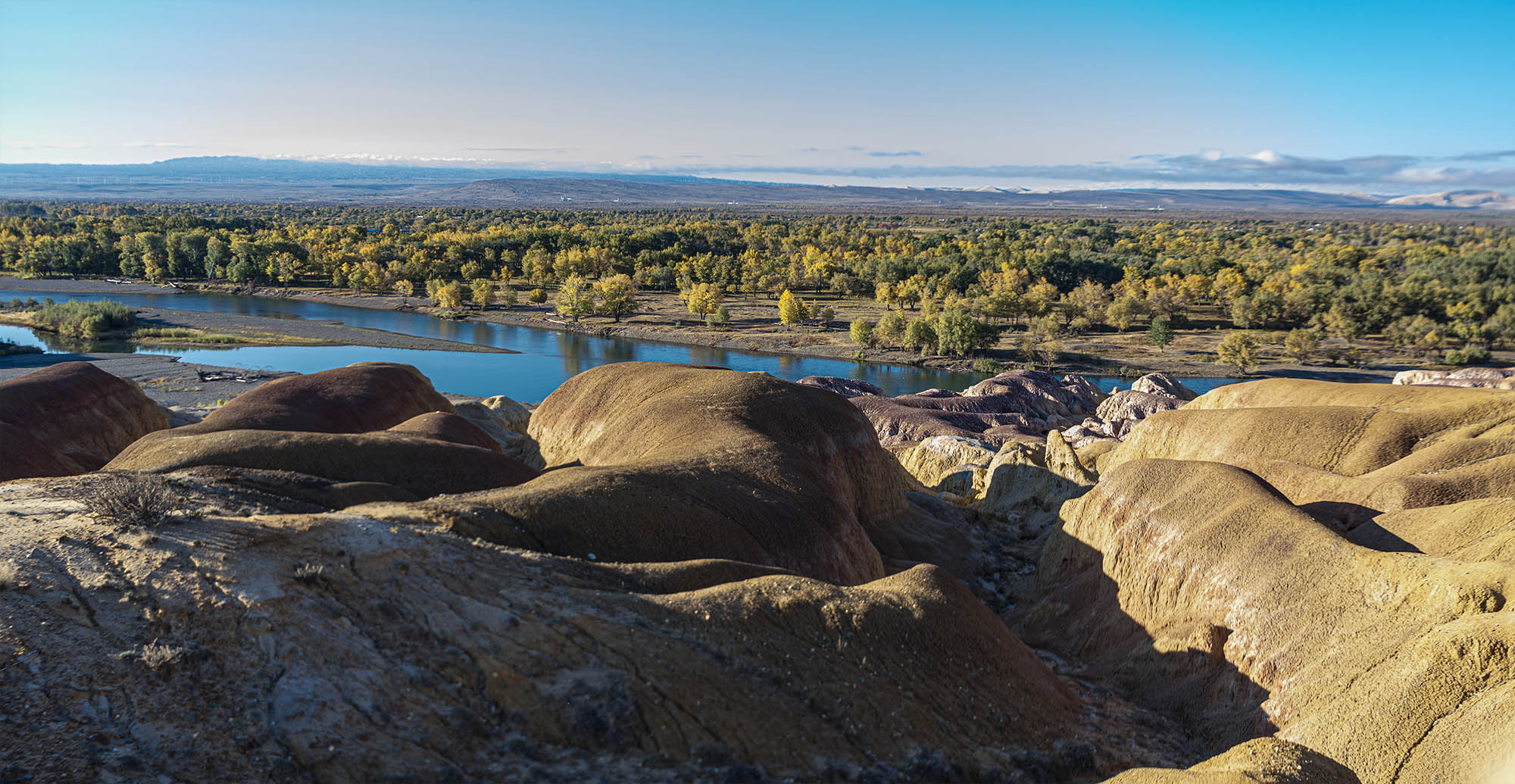 _DSC7899-1.jpg