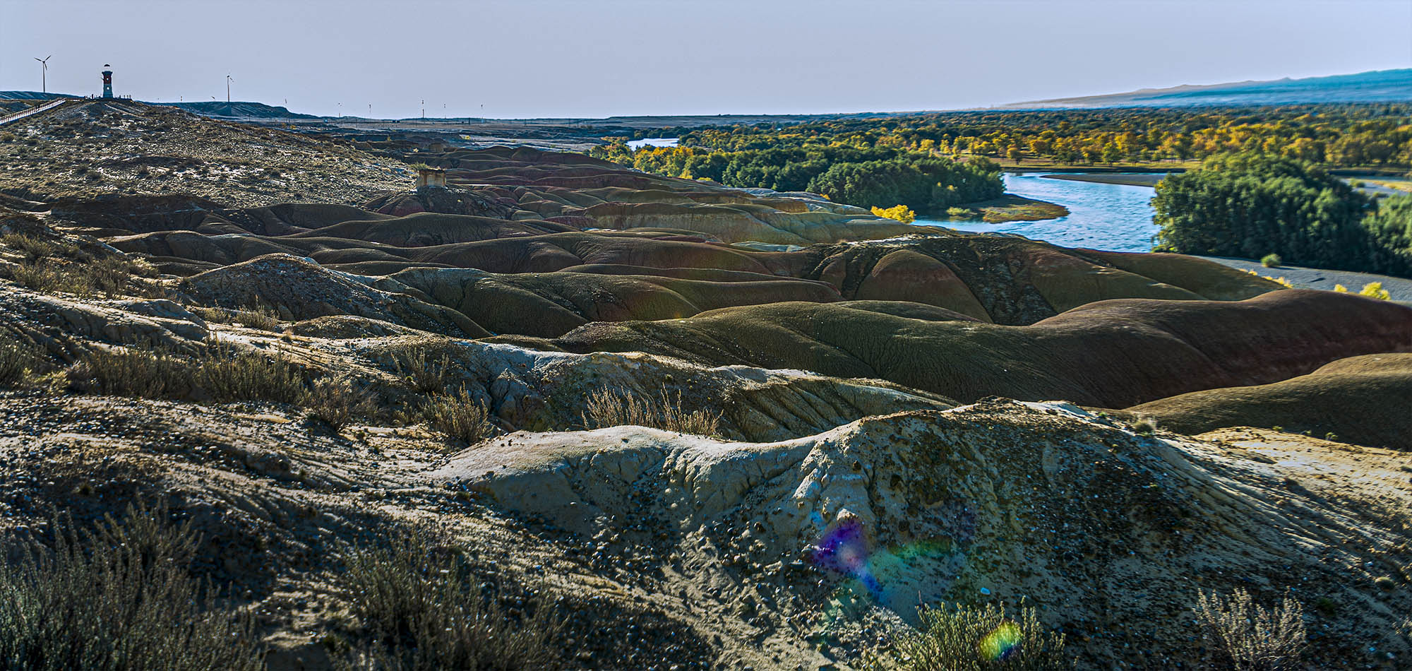_DSC7904-1.jpg