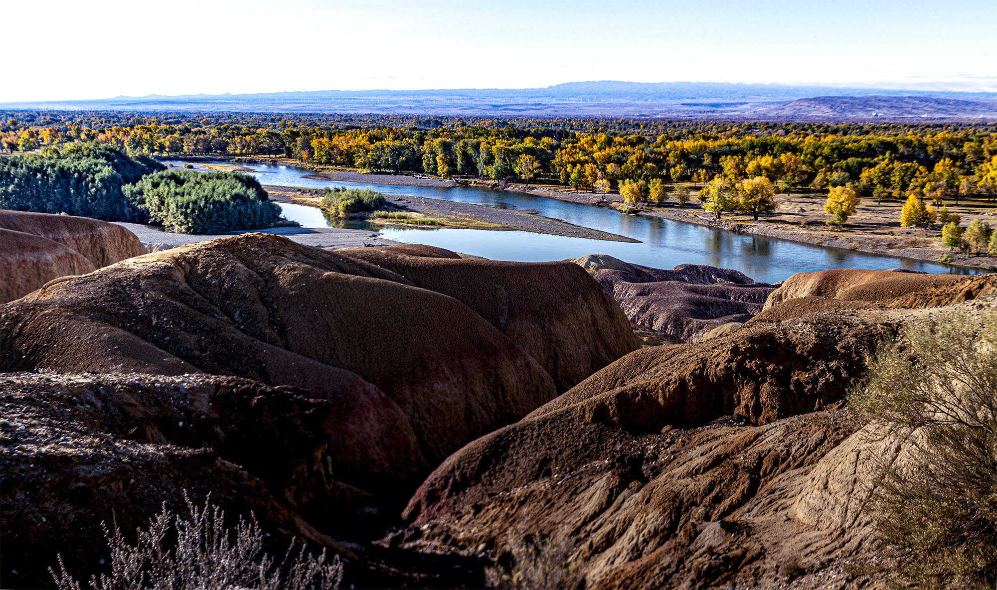 _DSC7929-1.jpg