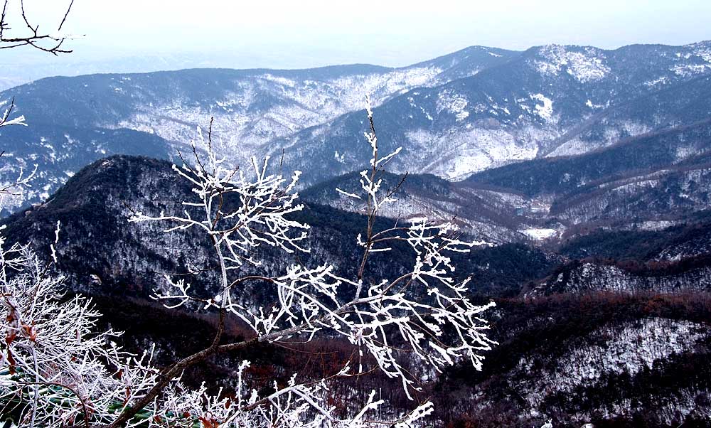 DSCF0398.jpg